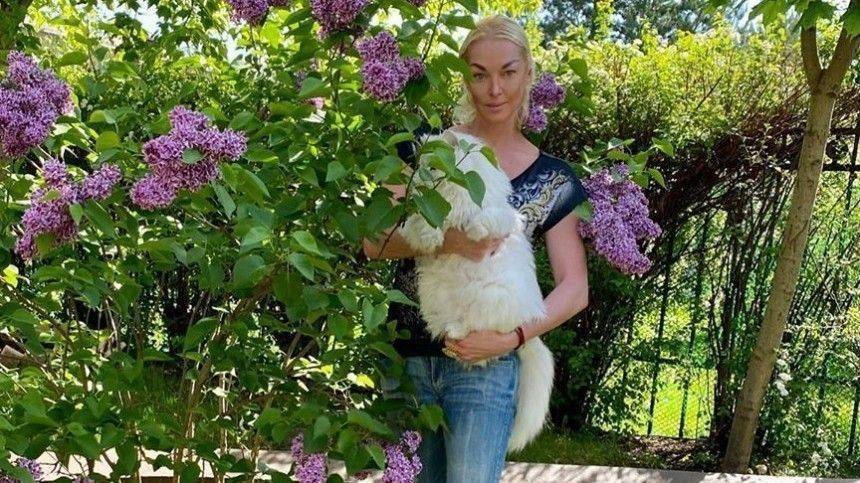 «Веранда удачи»: Волочкова похвасталась новой стрижкой своего кота