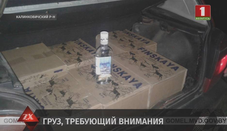 160 бутылок российской водки нашли в машине жителя Петриковского района