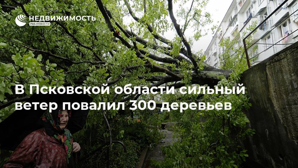 В Псковской области сильный ветер повалил 300 деревьев