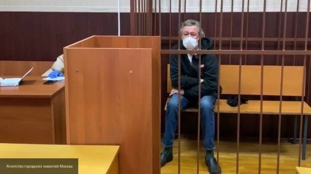 Адвокат Подшибякин считает, что Ефремова нужно было задержать сразу после страшного ДТП