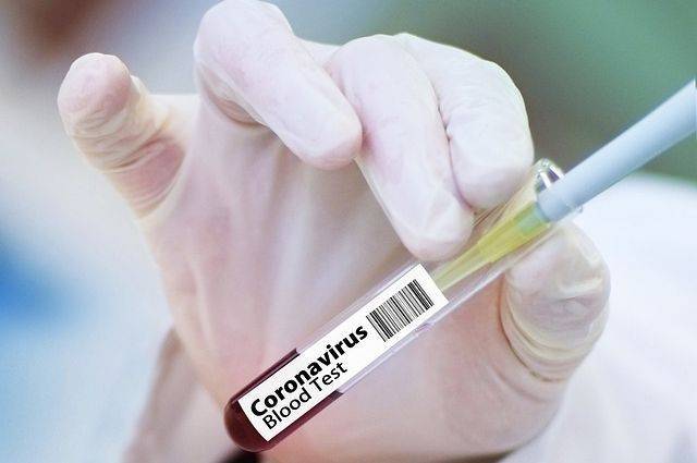 В России выявлено 8779 новых случаев заражения коронавирусом