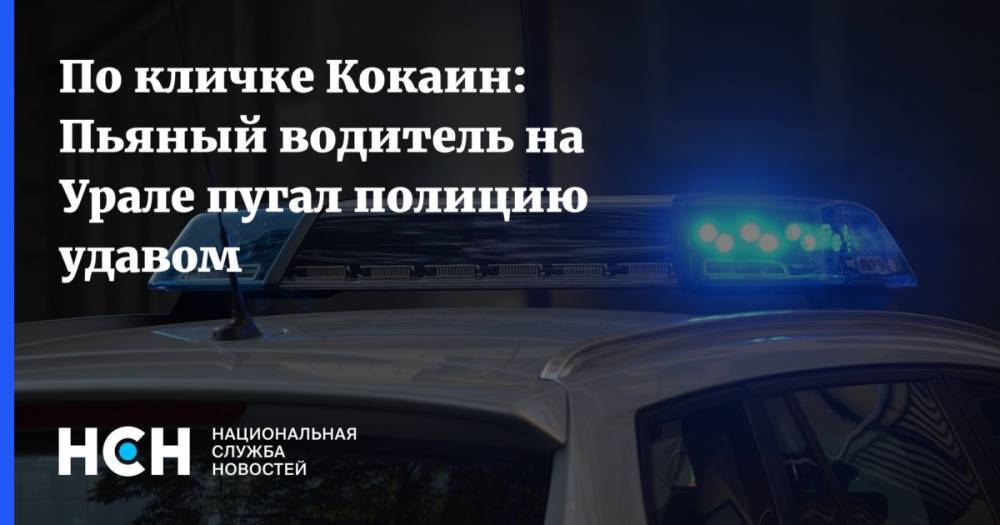 По кличке Кокаин: Пьяный водитель на Урале пугал полицию удавом