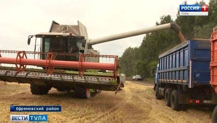 ИКАР повысил прогноз сбора пшеницы в России на 2020 год до 78 млн тонн