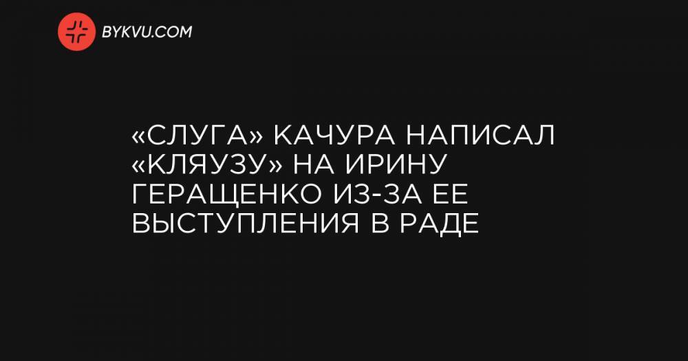 «Слуга» Качура написал «кляузу» на Ирину Геращенко из-за ее выступления в Раде