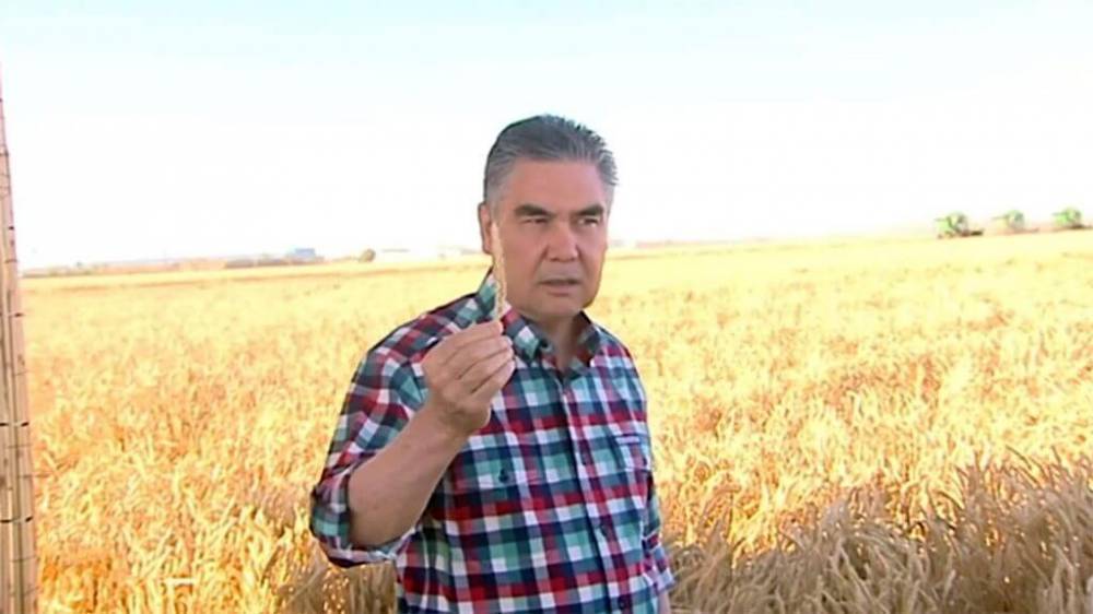 В Мары Бердымухамедов дал советы по выращиванию пшеницы, цитируя народные мудрости