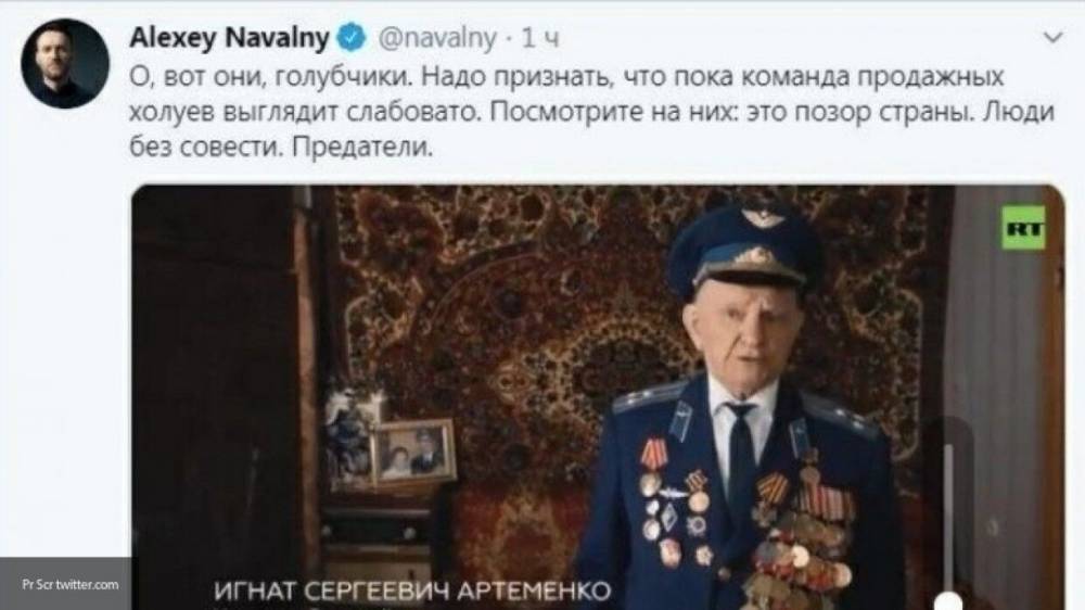 Более 10 тыс. россиян подписали петицию за наказание Навального, оскорбившего ветерана