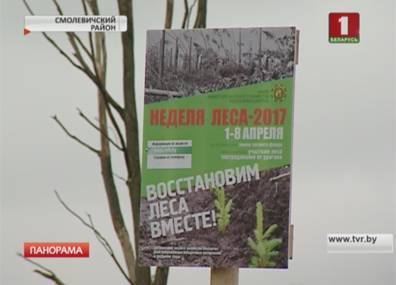 Белорусы приняли участие в озеленении родного края