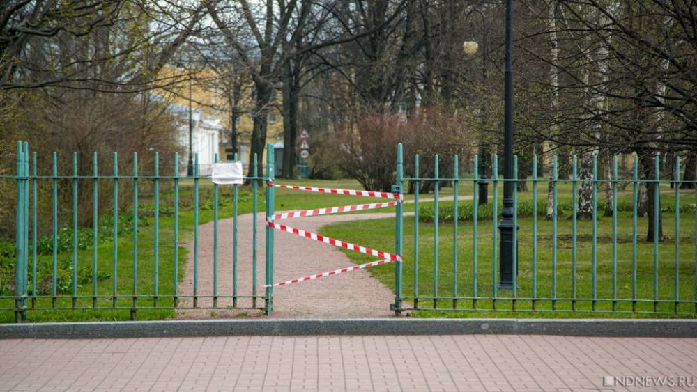 Музеям в России разрешили открыть свои парки с 16 июня: посетителей без масок и перчаток не пустят