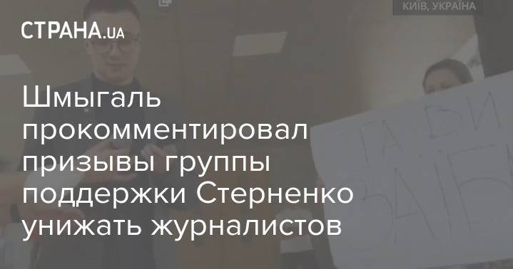 Шмыгаль прокомментировал призывы группы поддержки Стерненко унижать журналистов