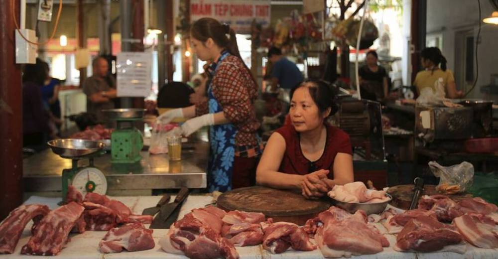 Во Вьетнаме еще в 2013 году нашли шесть видов коронавируса: ученые рассказали о рынках-очагах