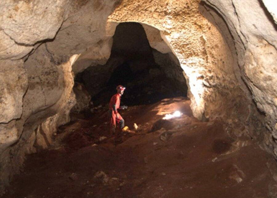 В пещере "Таврида" в Крыму нашли новые ходы и ярусы