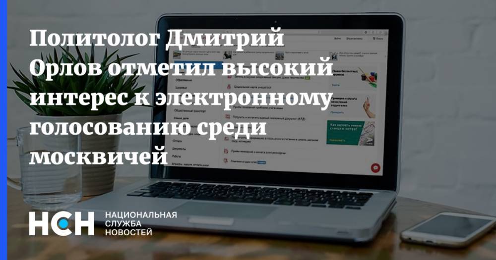 Политолог Дмитрий Орлов отметил высокий интерес к электронному голосованию среди москвичей