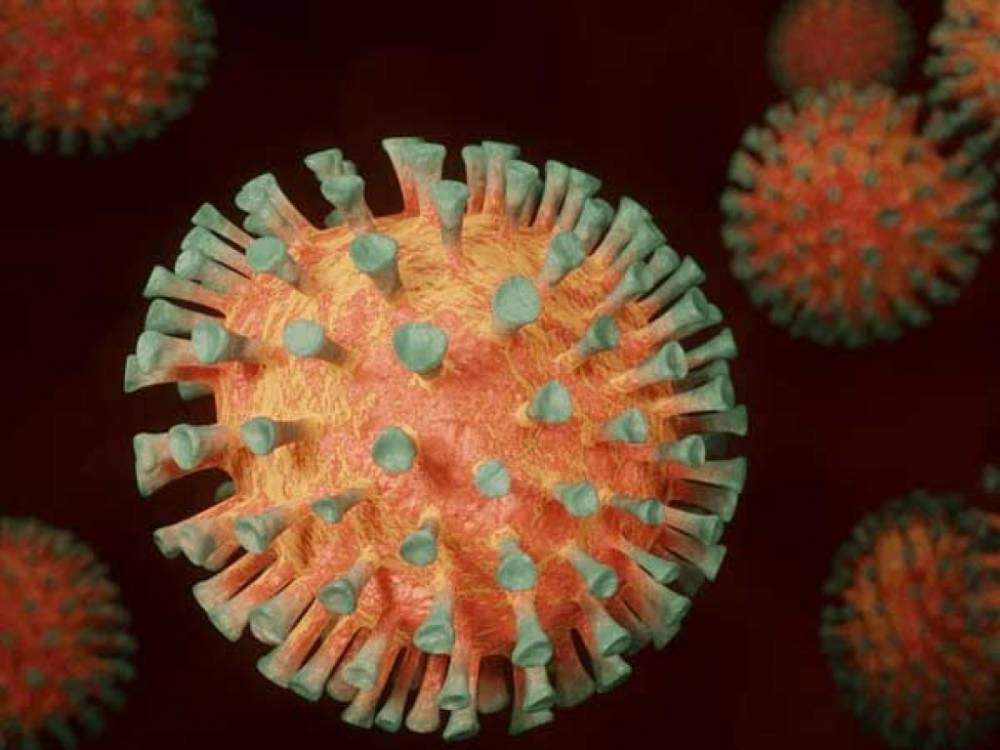 Итальянский вирусолог предупредил об опасном феномене коронавируса