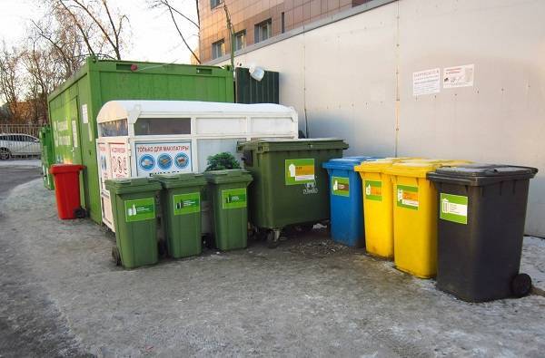 У Петербурга и Ленобласти может появиться единый мусорный оператор