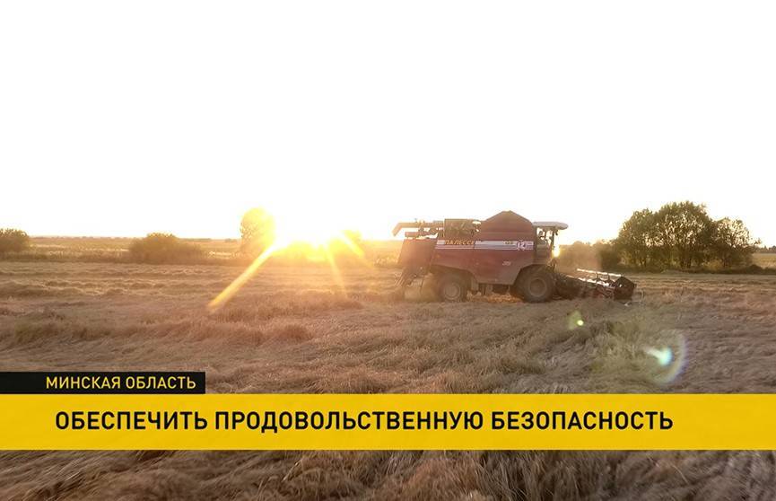 Продовольственная безопасность Беларуси: какой урожай ждать в этом году?