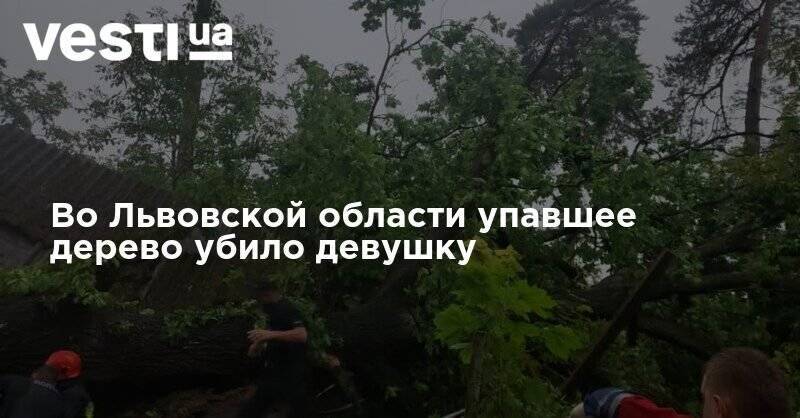 Во Львовской области упавшее дерево убило девушку