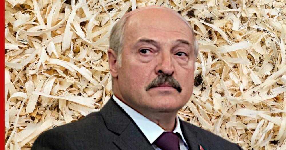 Лукашенко призвал использовать опилки вместо нефти
