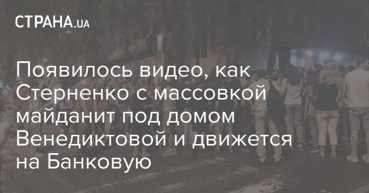 Появилось видео, как Стерненко с массовкой майданит под домом Венедиктовой и движется на Банковую