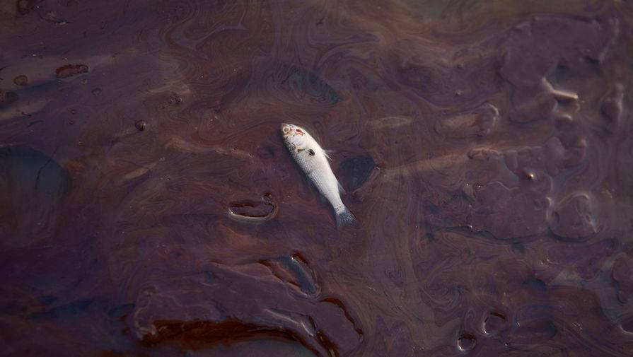 Разлив нефтепродуктов произошел в бухте Нагаева на Колыме