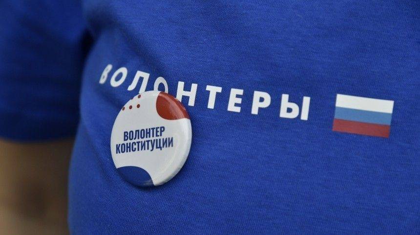 Волонтеры Конституции информируют вологжан о предстоящем голосовании