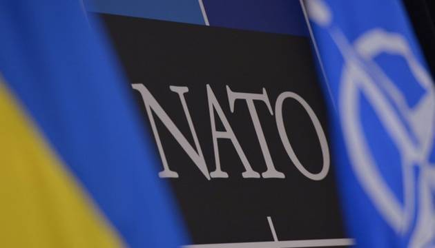 НАТО ожидает от Украины принятия пяти законов