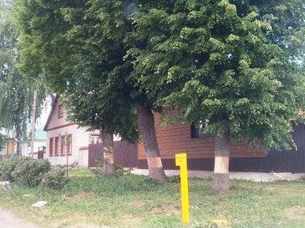 В Башкирии ищут обкромсавших деревья вандалов