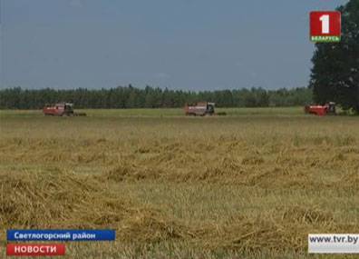 Бывших осужденных в Беларуси планируют устраивать на работу в сельхозпредприятия