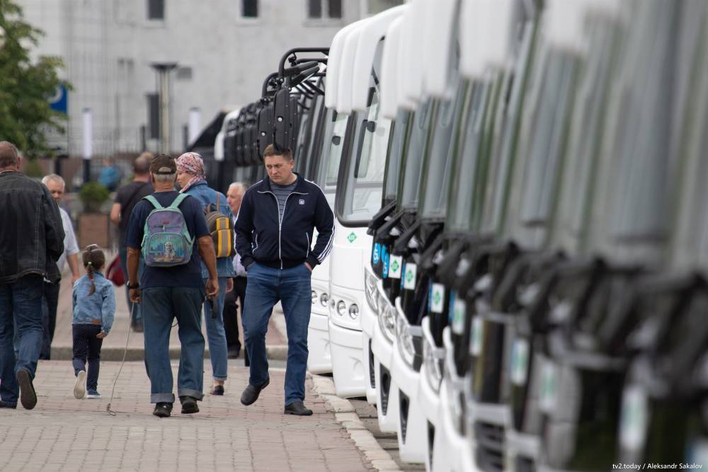 83 новых автобуса приобрели власти Томской области для межмуниципальных перевозок