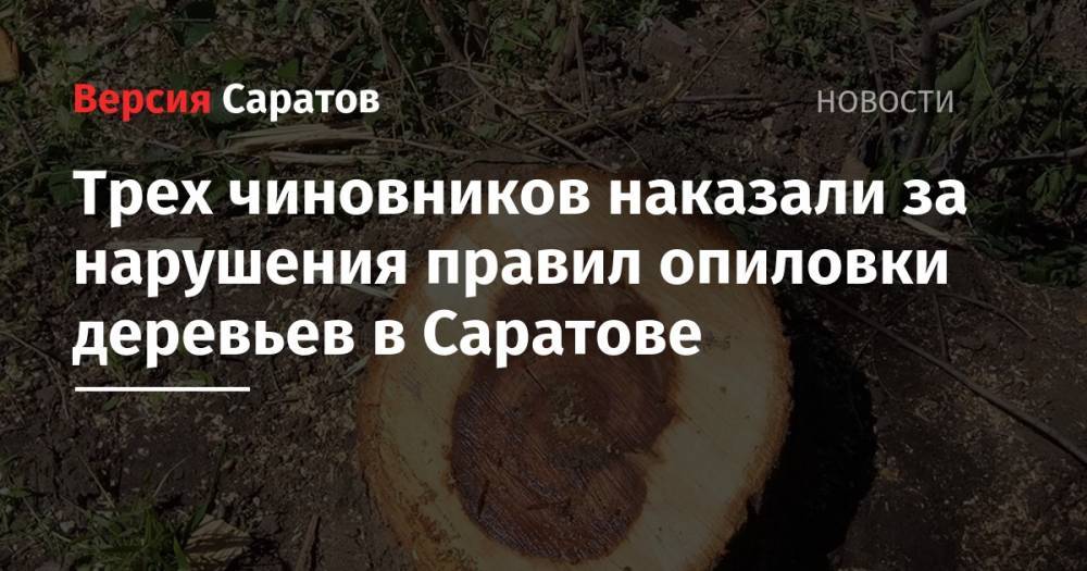 Трех чиновников наказали за нарушения правил опиловки деревьев в Саратове