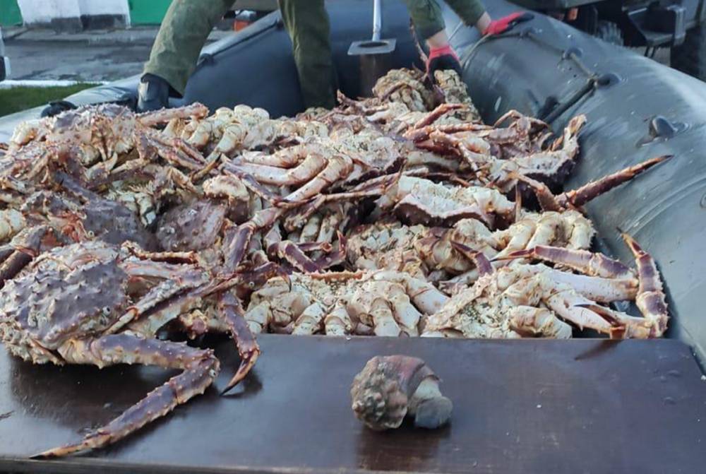 500 кг краба изъяли у двоих браконьеров на берегу залива Терпения