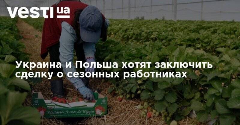 Украина и Польша хотят заключить сделку о сезонных работниках