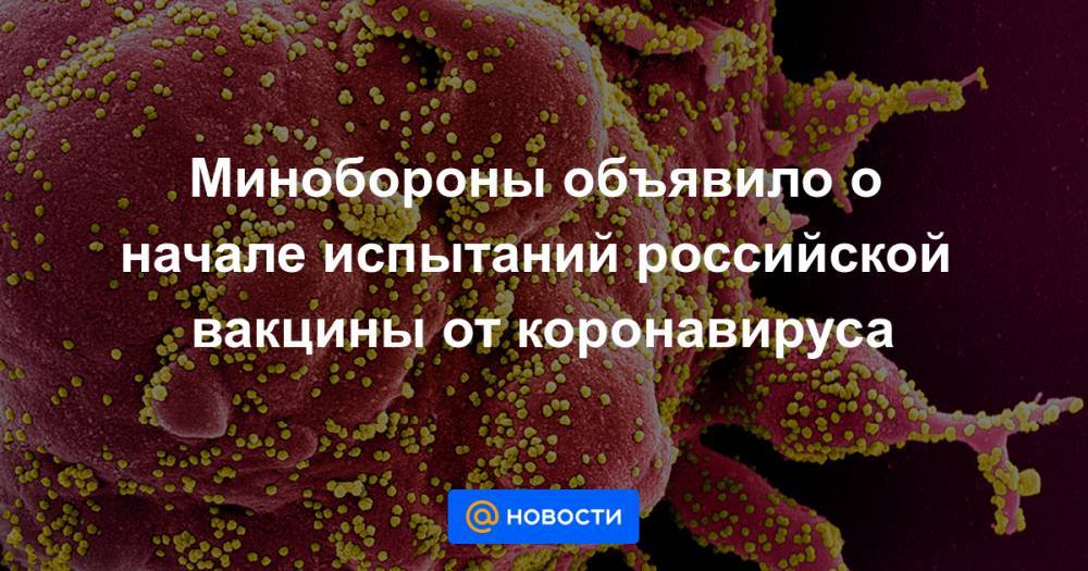 Минобороны объявило о начале испытаний российской вакцины от коронавируса