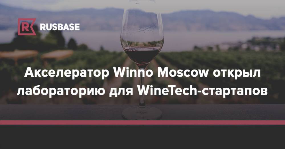 Акселератор Winno Moscow открыл лабораторию для WineTech-стартапов