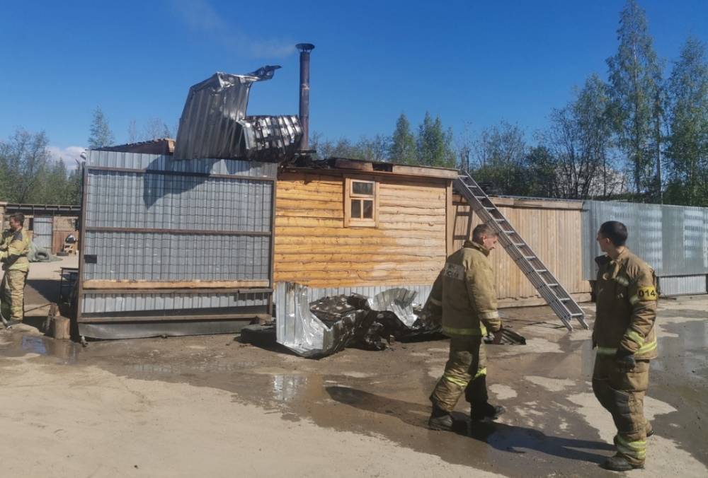 Пожар вспыхнул в приюте для собак в Петрозаводске