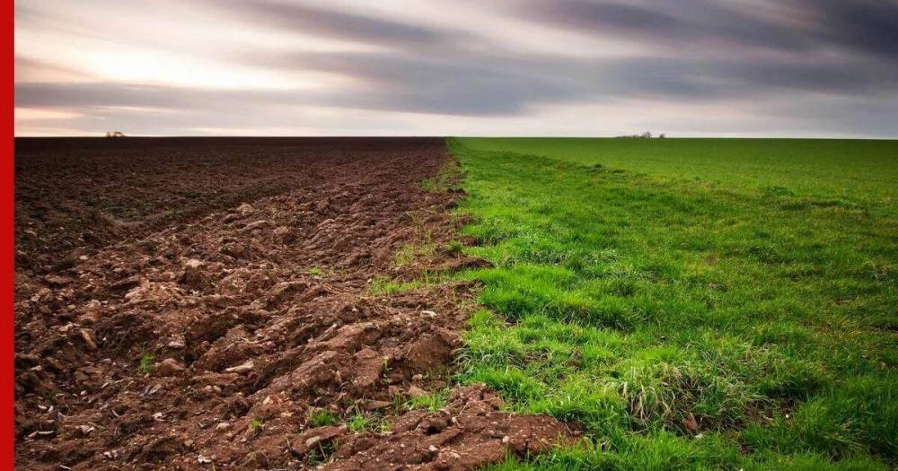 Российские ученые открыли свойство почвы, предсказывающее изменение климата