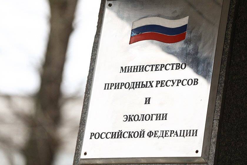 В отчетности Минприроды нашли ошибки на 118,2 миллиона рублей