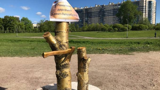 В Муринском парке появился "памятник деревьям"