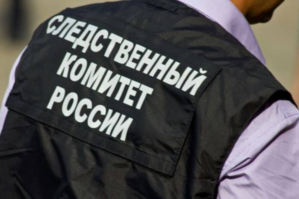 Журналисты заявили в СК после задержания на Петровке, 38