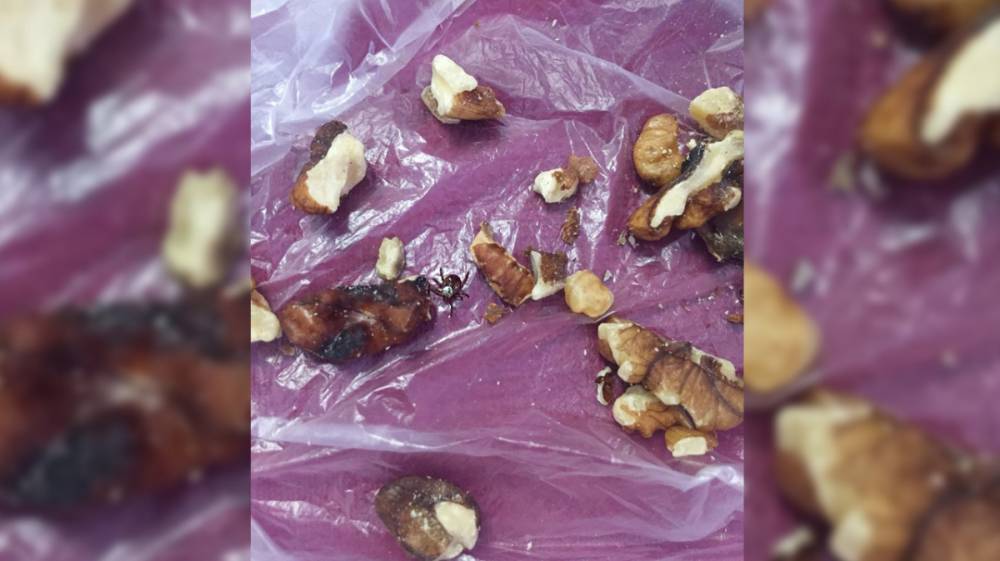 Жительница Воронежа нашла клеща в купленных орехах