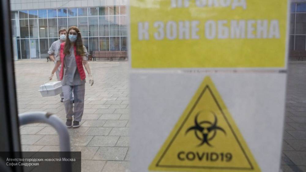 Петербургские медики провели 11 352 обследования на коронавирус за последние сутки
