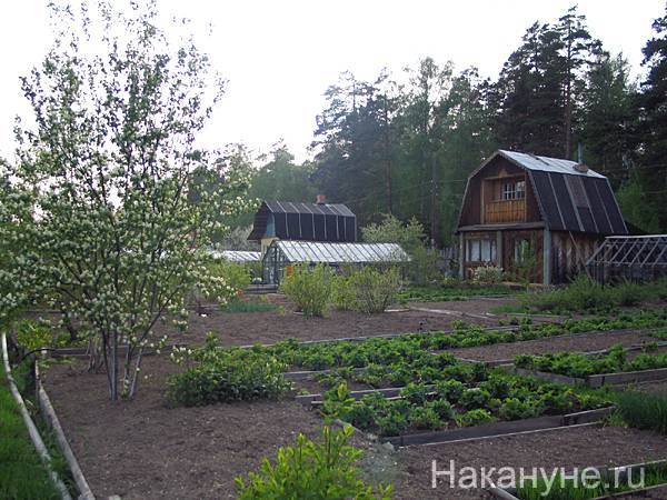 Лето пришло на Урал: в Свердловской области прогнозируют заморозки