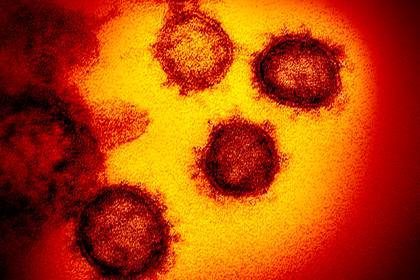 Раскрыта выживаемость коронавируса при жаре