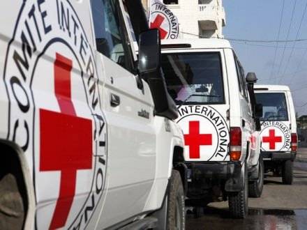 Украина и Германия обсудили допуск Красного Креста к незаконно заключенным украинцам в оккупированном Крыму