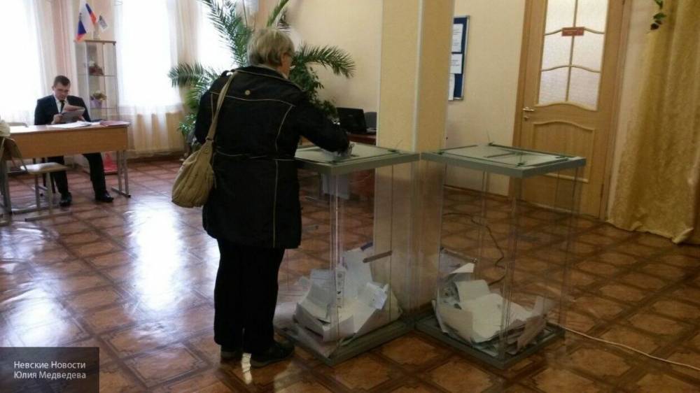 ЦИК показал, как будет выглядеть бюллетень для голосования по поправкам к Конституции РФ
