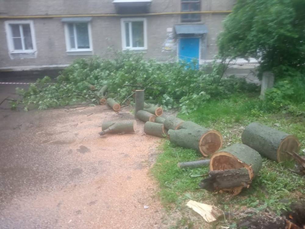 В посёлке Приокский после грозы упало дерево