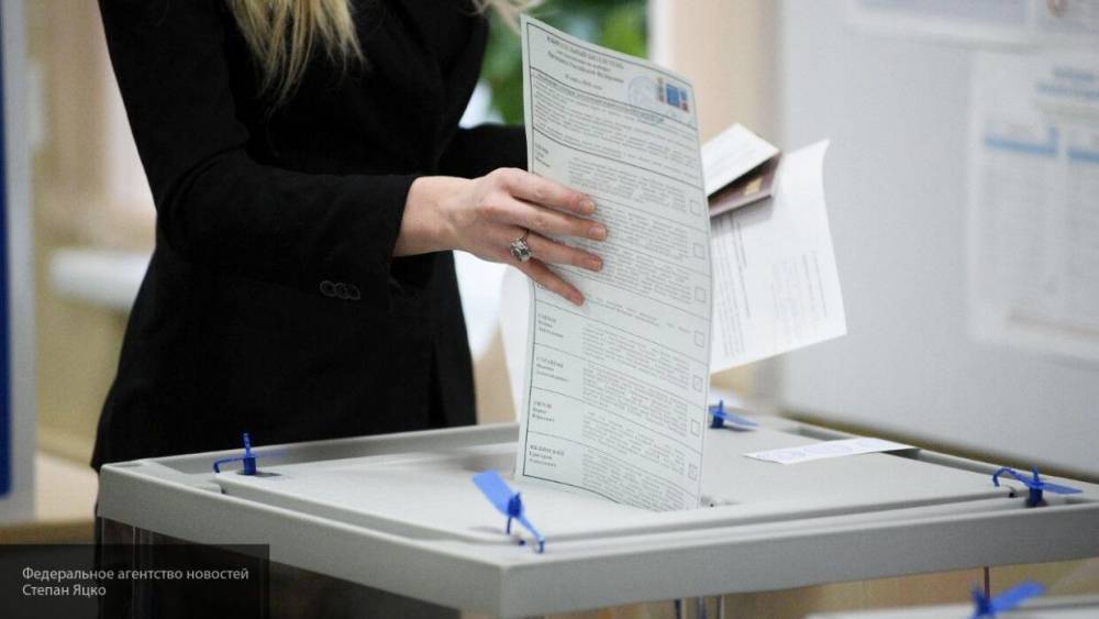 ЦИК опубликовал фото образца бюллетеня голосования по поправкам