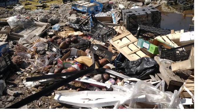 Компания "Новый век" пообещала в ближайшее время вывезти мусор со стихийной свалки в Купчино