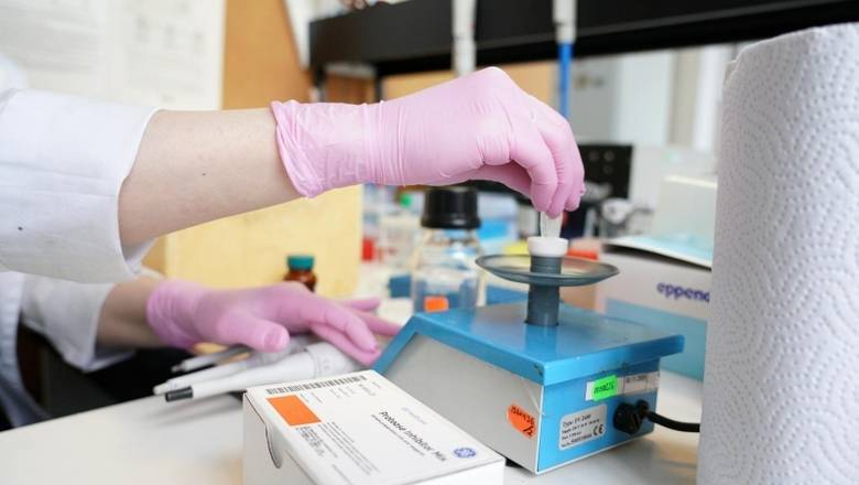 Дело в спектре: российские ученые предложили новый способ обнаружения коронавируса
