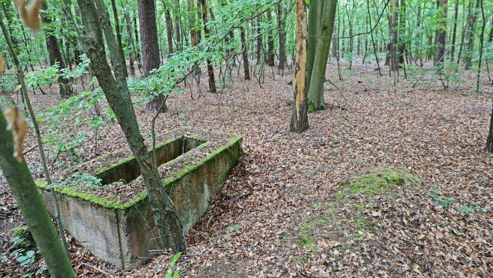 Для 56 000 усопших: в Германии появится кладбище для жертв пандемии