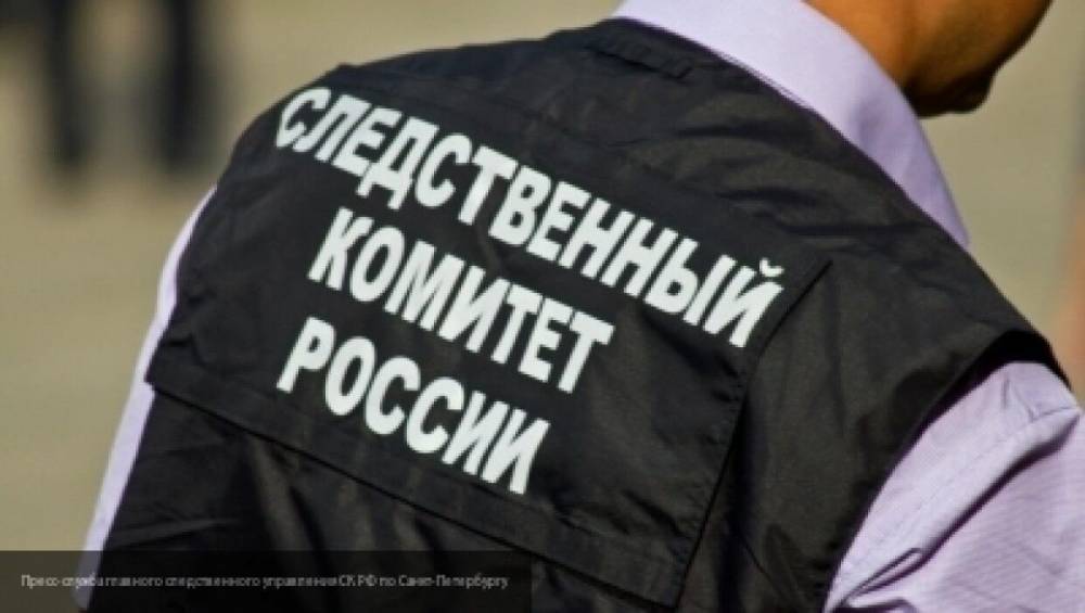 Суд арестовал двоих обвиняемых в изнасиловании подростков в Петербурге
